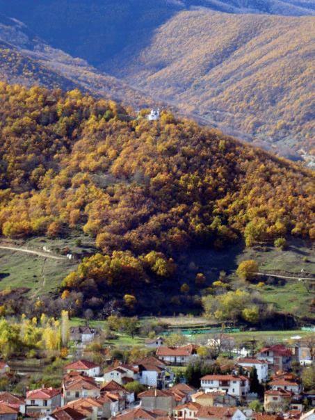 Villa Kastanodasos Emporio  Екстер'єр фото