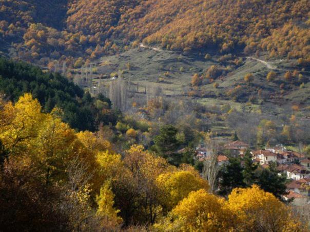 Villa Kastanodasos Emporio  Екстер'єр фото