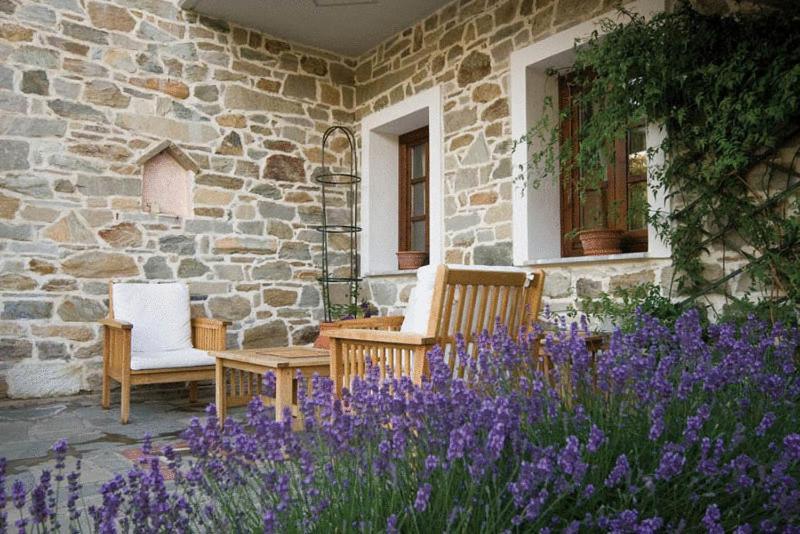 Villa Kastanodasos Emporio  Екстер'єр фото