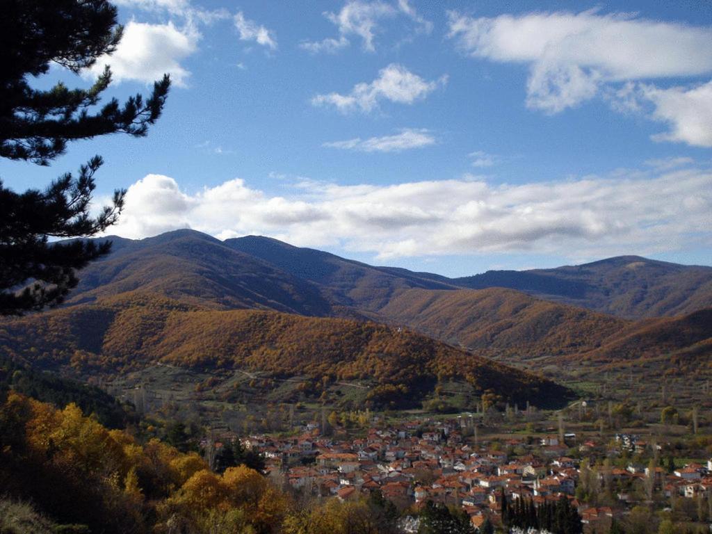 Villa Kastanodasos Emporio  Екстер'єр фото